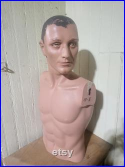 mannequin,fashion, fashion mannequin, vintage mannequin, male torso mannequin,
