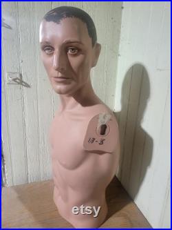 mannequin,fashion, fashion mannequin, vintage mannequin, male torso mannequin,