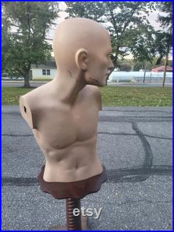 mannequin,fashion, fashion mannequin, vintage mannequin, male torso mannequin,