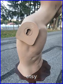 mannequin,fashion, fashion mannequin, vintage mannequin, male torso mannequin,