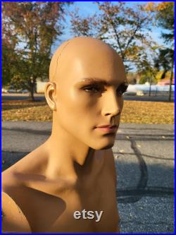 mannequin,fashion, fashion mannequin, vintage mannequin, male torso mannequin,